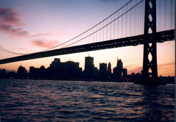 A view of the city on the Sunset Cruise