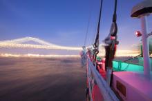 Bay lady & the bridge