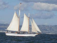 Bay Lady Sailing Along on a Sunday Brunch Cruise